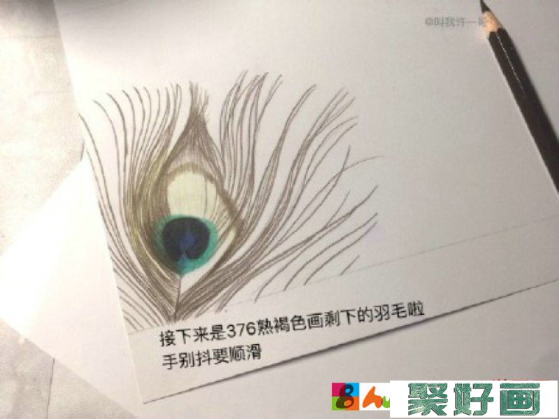 美丽的孔雀羽毛彩铅画手绘教程图片 孔雀羽毛的画法 孔雀羽怎么画_www.youyix.com