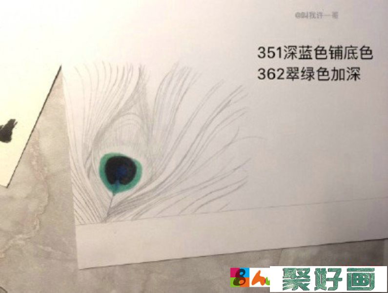 美丽的孔雀羽毛彩铅画手绘教程图片 孔雀羽毛的画法 孔雀羽怎么画_www.youyix.com