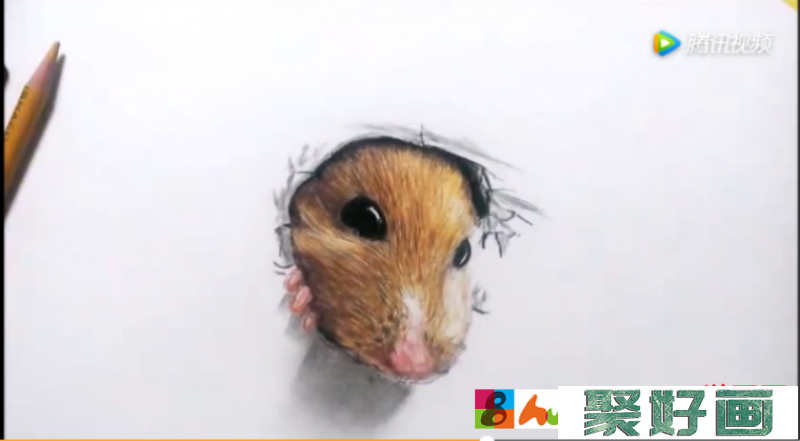 可爱小老鼠彩铅画 这个小老鼠突然破纸而出的教程_www.youyix.com