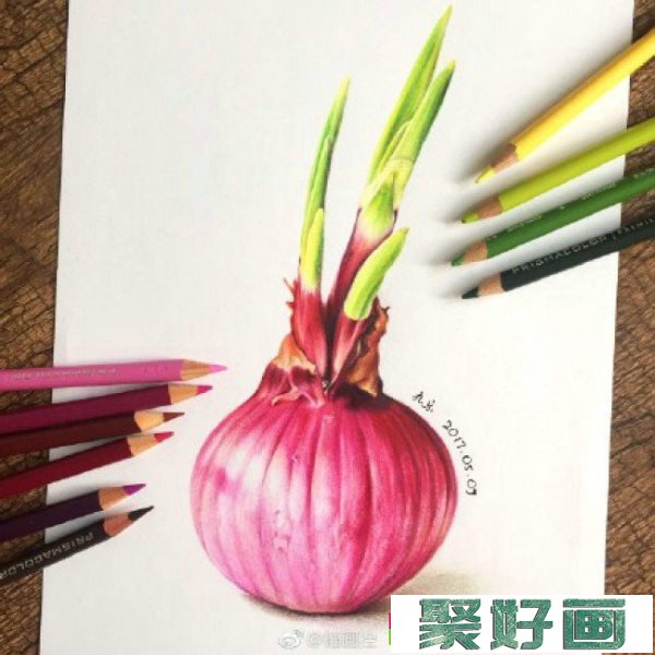 逼真写实的洋葱彩铅手绘画教程图片 很有真实感的洋葱怎么画 画法_www.youyix.com