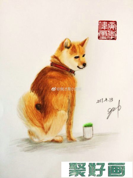 简单的柴犬狗彩铅画画法手绘教程图片 柴犬的画法 柴犬彩铅怎么画_www.youyix.com