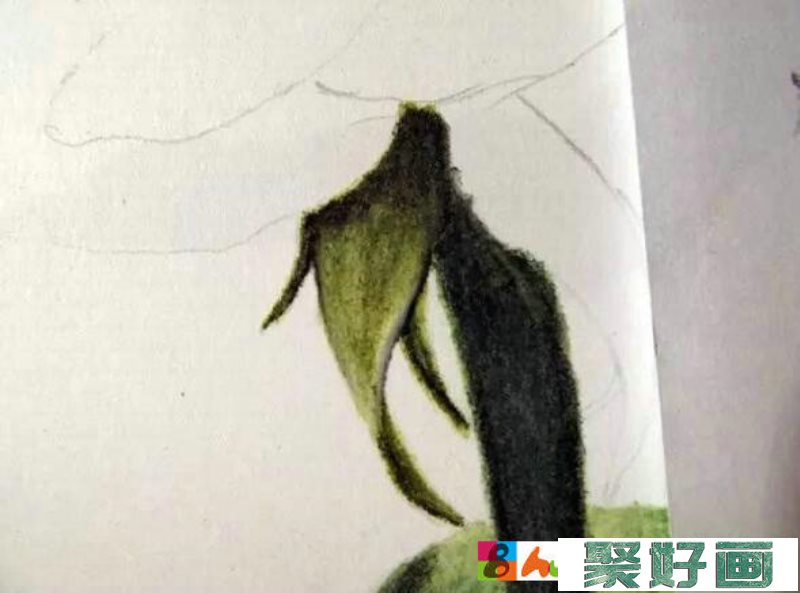 怎么画彩铅画红玫瑰？画彩铅画红玫瑰的步骤