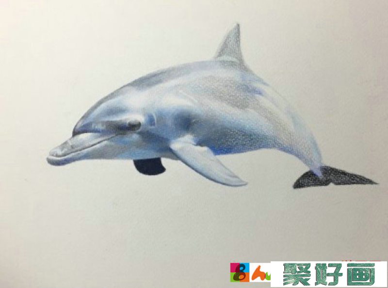 海豚彩铅图片手绘教程 海豚的画法 海豚彩铅怎么画_www.youyix.com