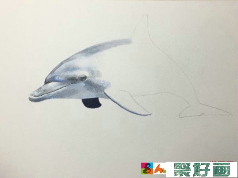 海豚彩铅图片手绘教程 海豚的画法 海豚彩铅怎么画_www.youyix.com