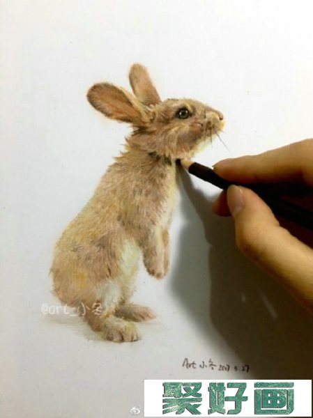小兔子彩铅画图片 兔子彩铅手绘教程 兔子怎么画 兔子彩铅的画法_www.youyix.com