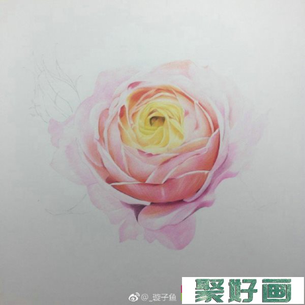 月季花彩铅画教程图片 月季花手绘教程图片 月季花怎么画 月季花画法_www.youyix.com