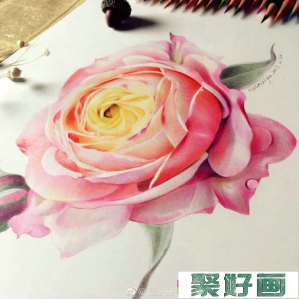 月季花彩铅画教程图片 月季花手绘教程图片 月季花怎么画 月季花画法_www.youyix.com