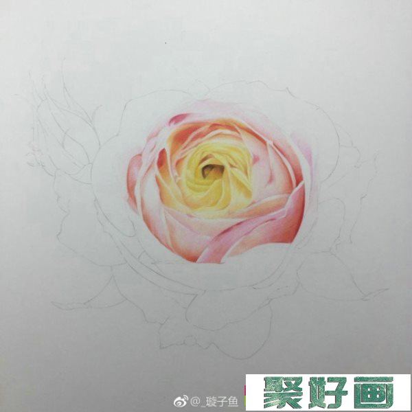 月季花彩铅画教程图片 月季花手绘教程图片 月季花怎么画 月季花画法_www.youyix.com