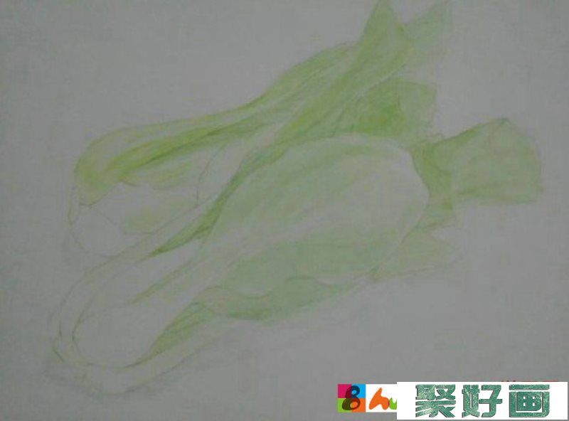 两颗逼真的大白菜彩铅画图片 青菜彩铅手绘教程 白菜的画法 白菜怎么画_www.youyix.com