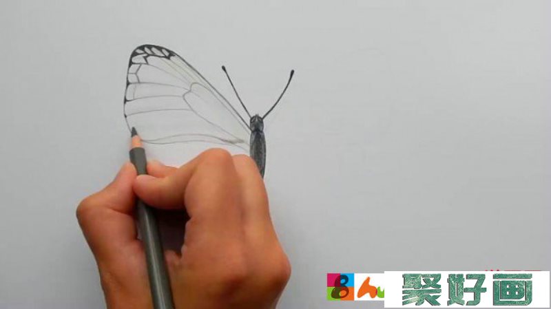 【视频】很简单的蝴蝶彩铅手绘视频教程 蝴蝶的画法 简单的蝴蝶怎么画_www.youyix.com