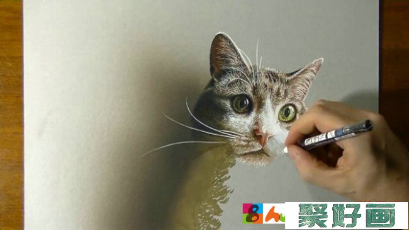 【视频】超写实的彩铅猫咪彩铅手绘教程步骤绘画方法 结合水彩高光笔喷枪_www.youyix.com