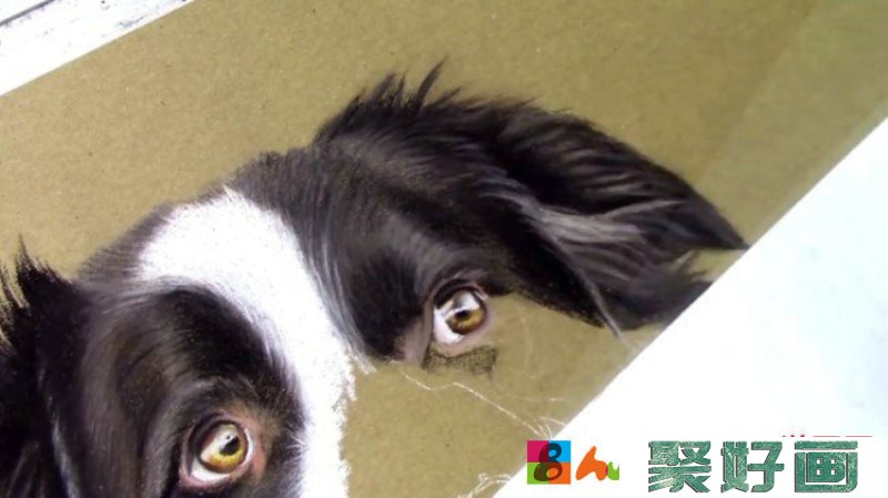 【视频】可爱的狗狗彩铅画视频教程 教你画狗狗的彩铅手绘图片教程_www.youyix.com