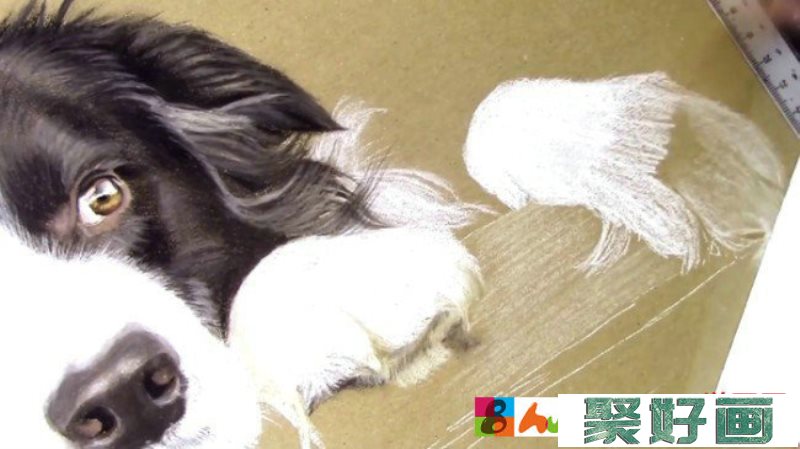 【视频】可爱的狗狗彩铅画视频教程 教你画狗狗的彩铅手绘图片教程_www.youyix.com