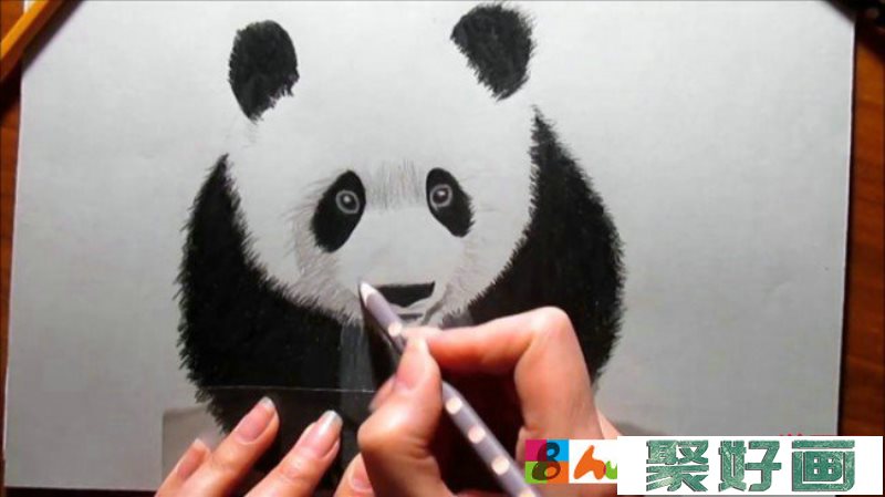 【视频】可爱的大熊猫彩铅手绘视频过程 简单的大熊猫画法_www.youyix.com