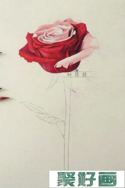 一枝红色玫瑰花彩铅画教程手绘图片 单枝红色玫瑰花怎么画 唯美逼真画法_www.youyix.com