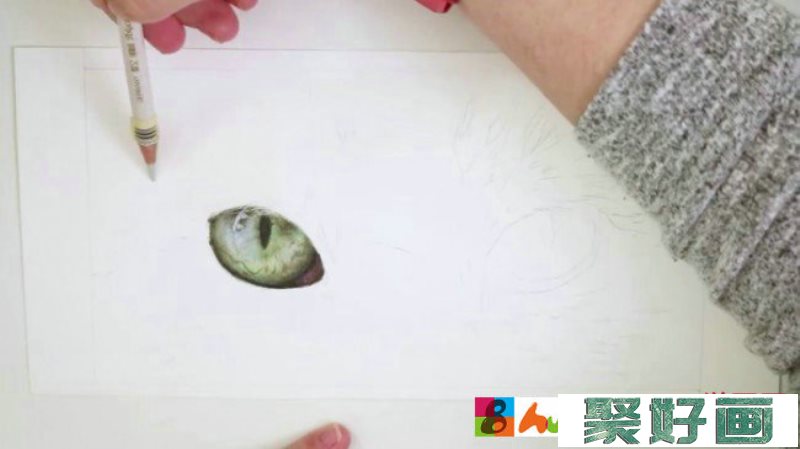 【视频】炯炯有神的一双猫咪眼睛以及周边毛发手绘视频教程画法图片_www.youyix.com