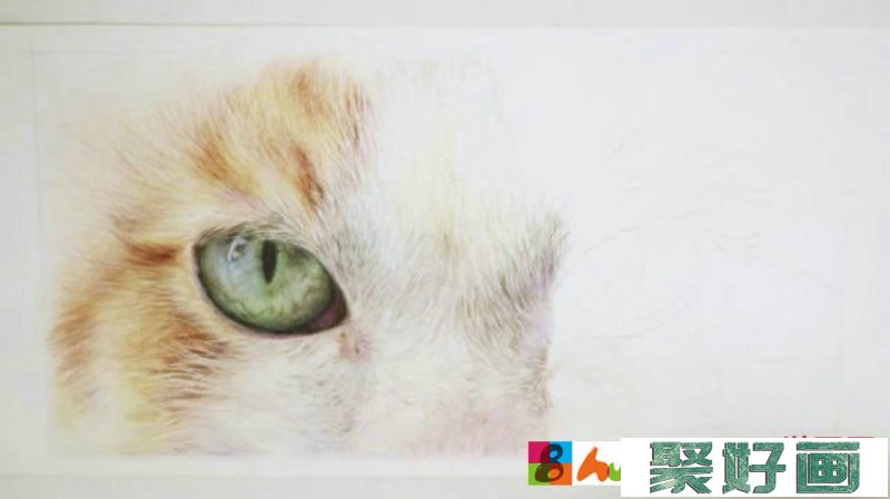 【视频】炯炯有神的一双猫咪眼睛以及周边毛发手绘视频教程画法图片_www.youyix.com