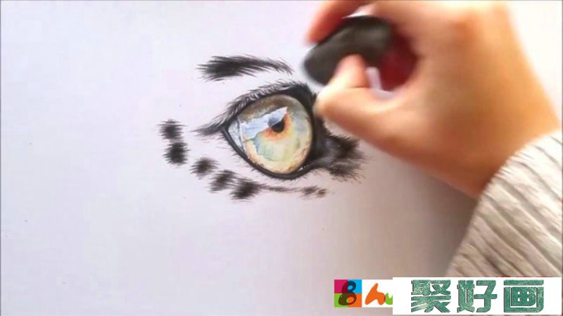 【视频】超棒的猫咪眼睛彩铅画法 星空般迷人的单只猫咪眼睛局部放大_www.youyix.com