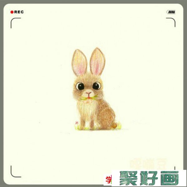 各种可爱的小动物彩铅画作品 插画师嘎嘣豆_www.youyix.com