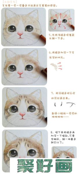 猫咪毛发绘画上色步骤和技巧讲解 精美细腻的猫咪头部彩铅上色教程分享_www.youyix.com