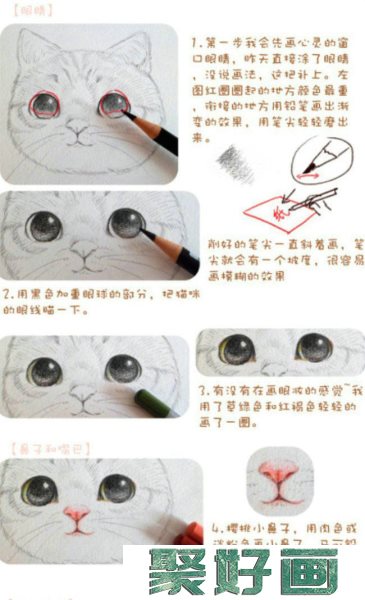 猫咪毛发绘画上色步骤和技巧讲解 精美细腻的猫咪头部彩铅上色教程分享_www.youyix.com