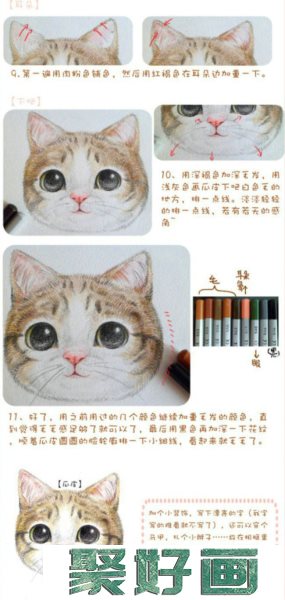 猫咪毛发绘画上色步骤和技巧讲解 精美细腻的猫咪头部彩铅上色教程分享_www.youyix.com