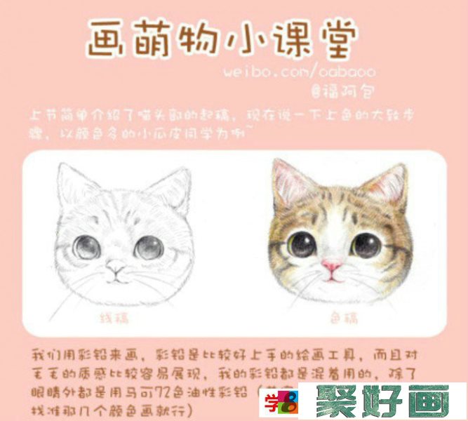 猫咪毛发绘画上色步骤和技巧讲解 精美细腻的猫咪头部彩铅上色教程分享_www.youyix.com
