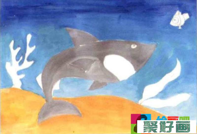 大鲨鱼水粉画