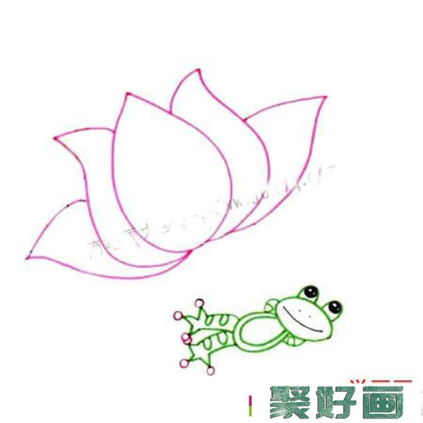 画池塘荷花青蛙的步骤_儿童水彩画荷塘荷花青蛙教程图