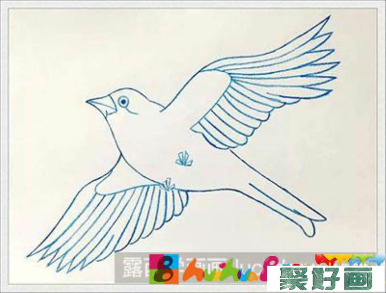 儿童画教程：教你画鸟