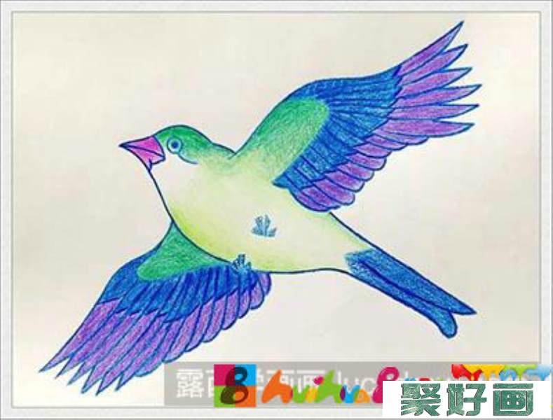 儿童画教程：教你画鸟