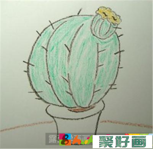 如何画圆圆的仙人球植物