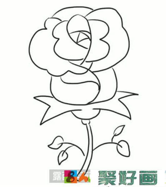 简笔画教程：教大家绘制玫瑰花