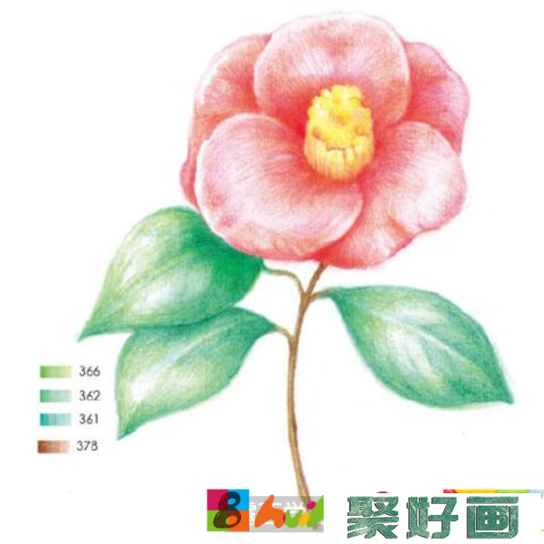 怎么画山茶花