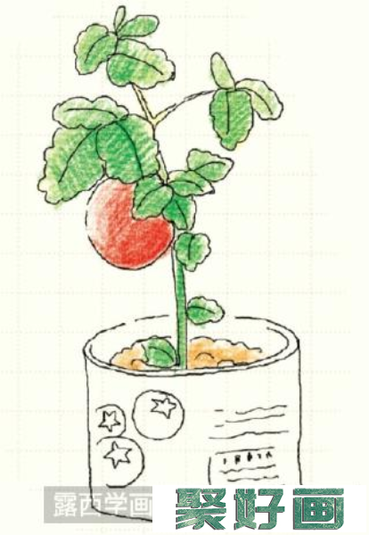 番茄儿童画