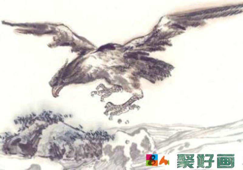 老鹰中国画