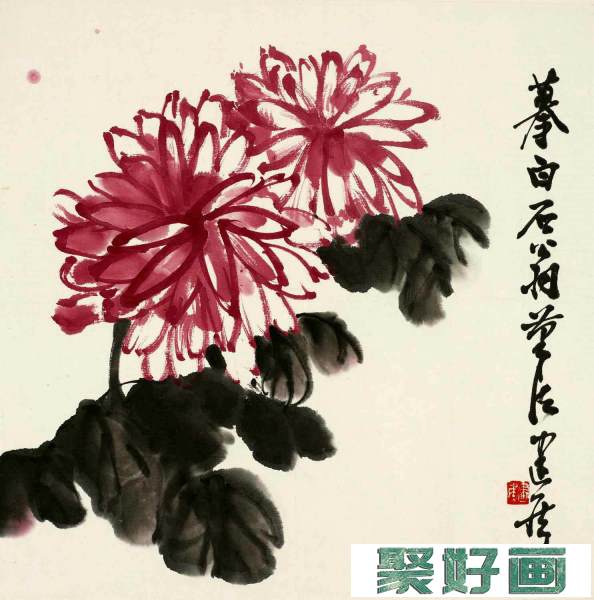 中国画菊花的画法图片