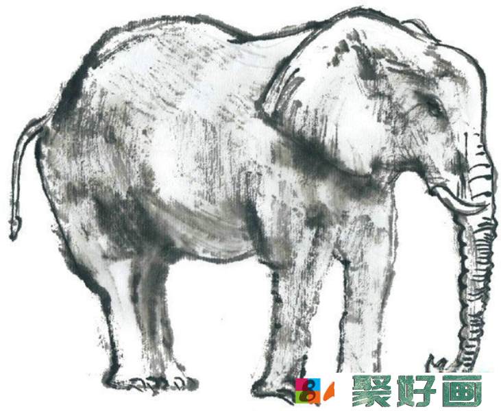 国画大象画法