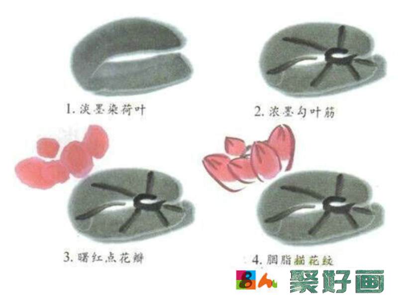 国画入门教程：几种简单的花卉的画法