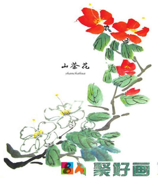 国画山茶花画法步骤