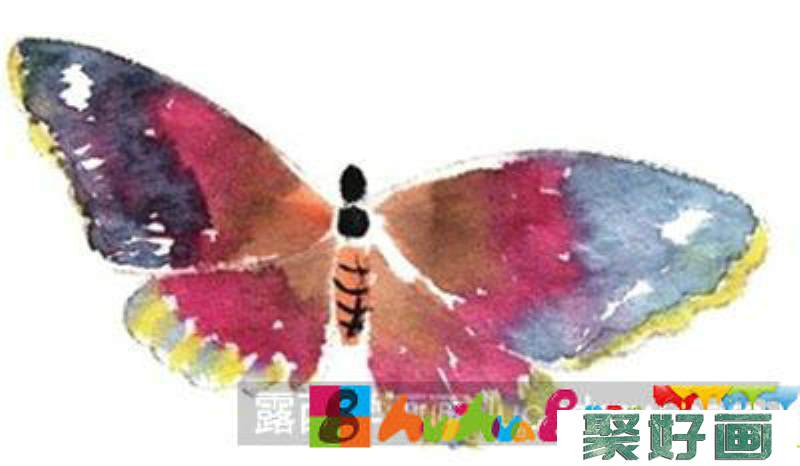 国画教程之蝴蝶的绘制方法