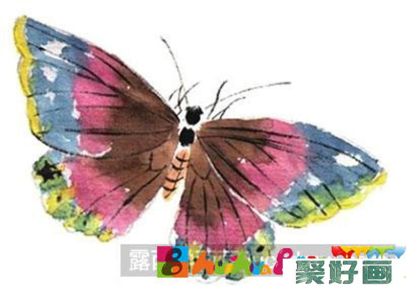国画教程之蝴蝶的绘制方法