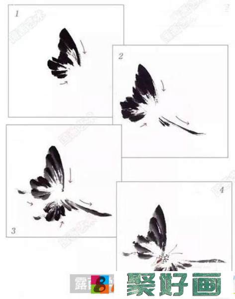 国画教程-怎么绘制美丽的凤蝶