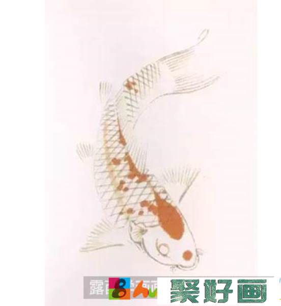 国画教程-怎么绘制红白花锦鲤