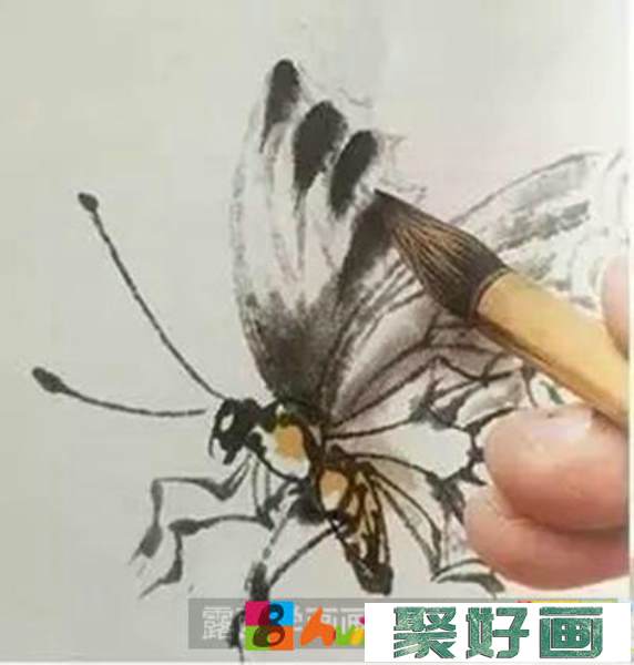 国画教程：怎么画蝴蝶