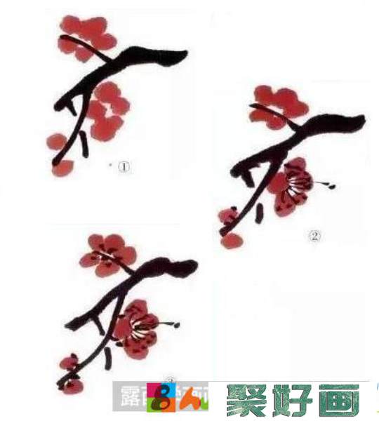 红梅折枝的画法