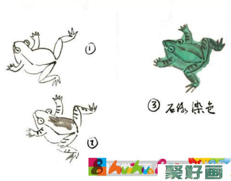 青蛙的画法