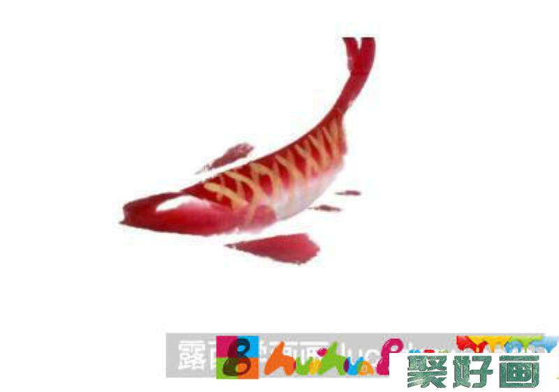 红鲤鱼的画法