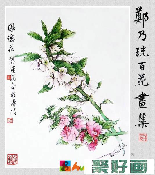 郑奶珖百花画集