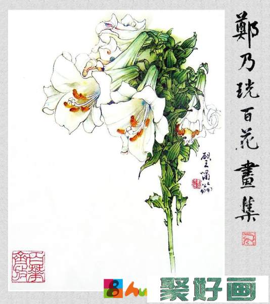 郑奶珖百花画集